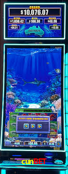 Ofertas Imperdíveis na cunbet: Promoções e Bônus Que Valem a Pena